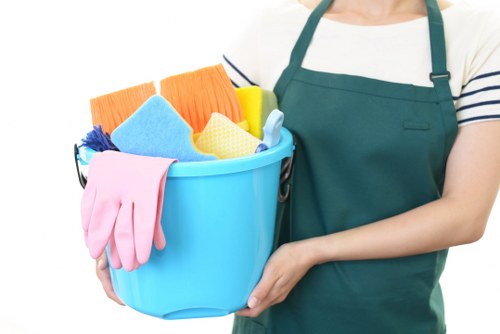 Professional carpet cleaner in Roehampton treating a living room carpet