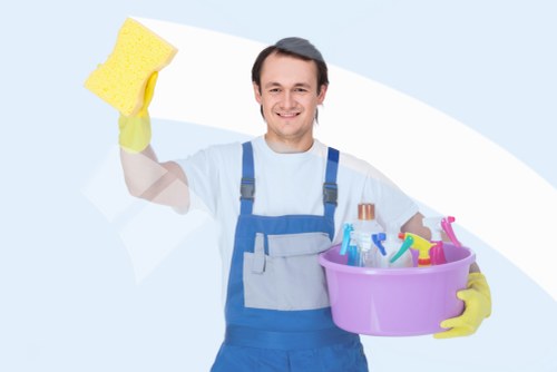 Professional carpet cleaning process in a domestic property