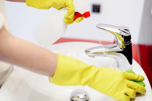 Professional carpet cleaning team caring for a Roehampton home carpet