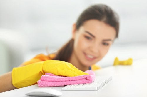 Professional cleaners in Roehampton providing domestic cleaning in a modern home