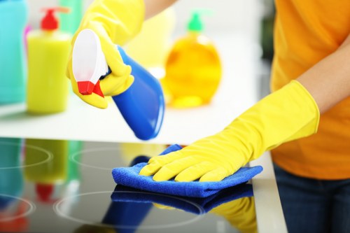 Deep carpet cleaning service in Roehampton for a clean living room