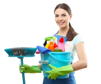 Professional carpets cleaner in Roehampton refreshing office flooring