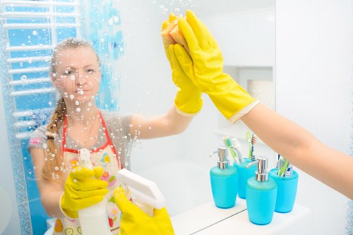 Office cleaning support from a cleaner in Roehampton