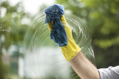 Stain removal and carpet care service in Roehampton