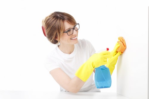 Encrypted online payment screen for Roehampton carpet cleaning