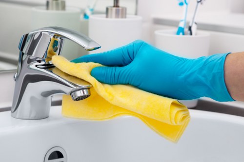 Professional carpet cleaning results for homes and businesses in Roehampton