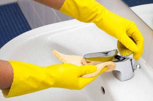 Bathroom end of tenancy cleaning details in Roehampton